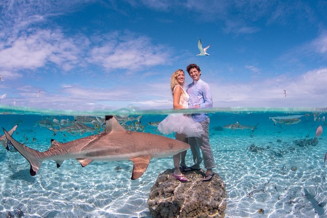 Private Full Day Aquatic Photo Tour + Resort Photo-Shoot (All inclusive)