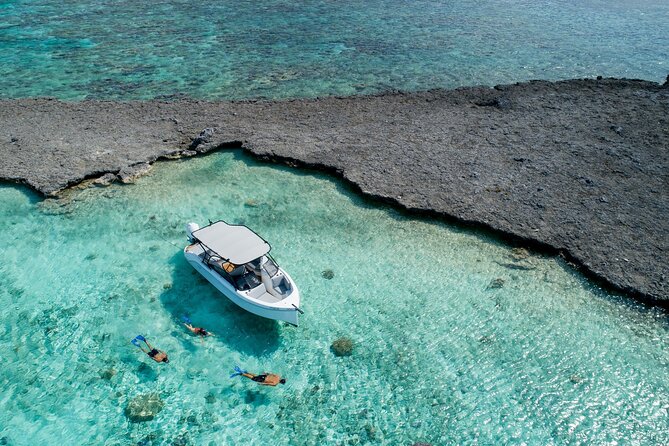 Private 4 Hours Reef Discovery Luxury Private Treasure Hunt in Bora Bora