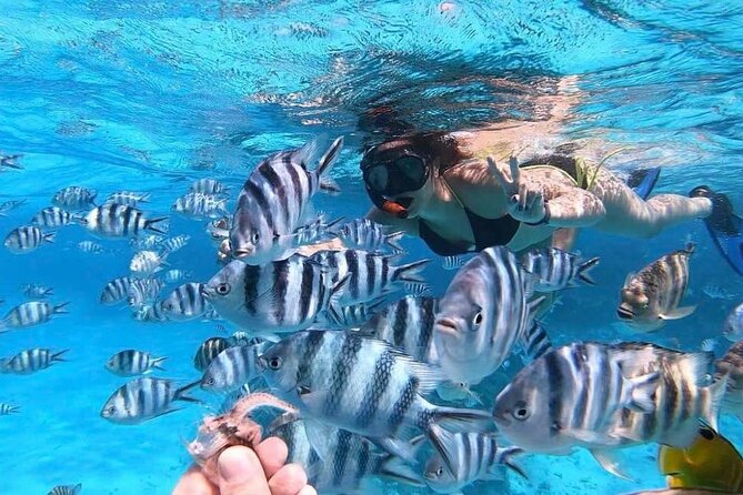 Private 2-Hour Lagoon Tour of Bora Bora