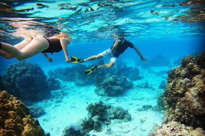 Mo’orea Half Day Private Tour with Snorkeling and Cruising the Lagoon