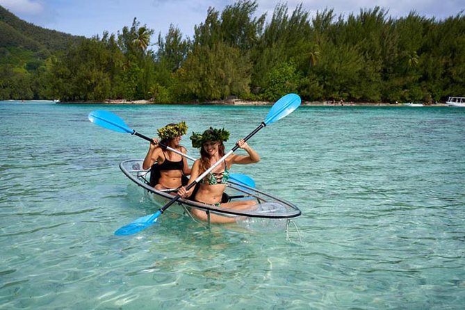 Eco guided excursion to the lagoon of Moorea in transparent kayak 1/2 day morning