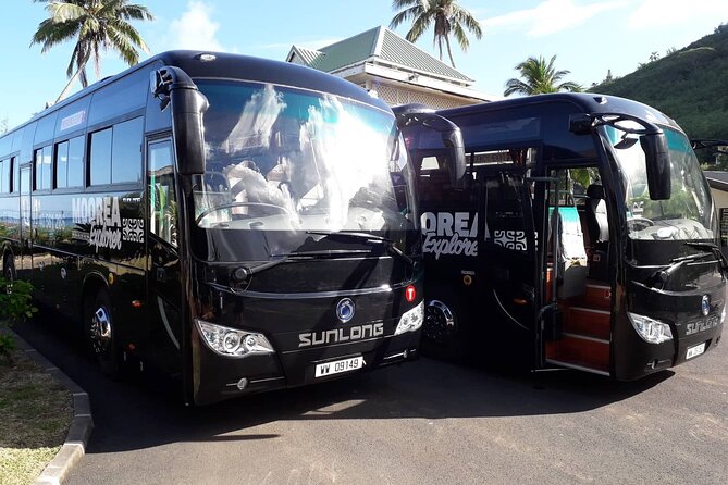 Shared Transfer : Hotel to Moorea Airport (or) Pier