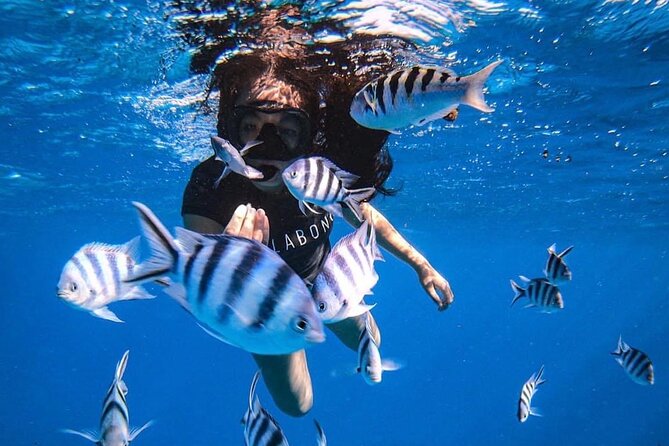 Snorkeling Tour Tahiti Private for 2 people