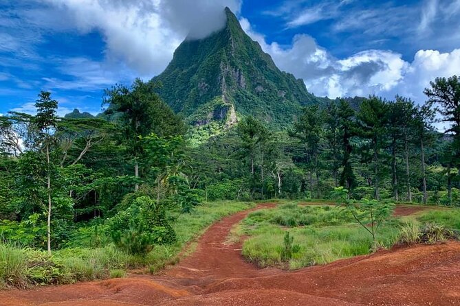 Half-Day Tour of Moorea Island in a Small Group