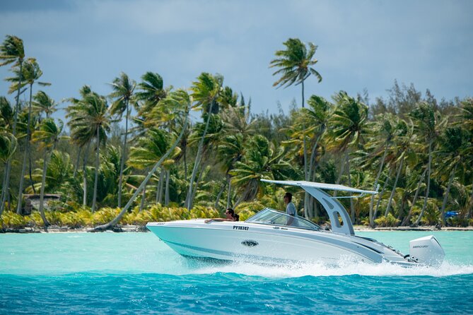 Reef Discovery Private Half Day Lagoon Tour