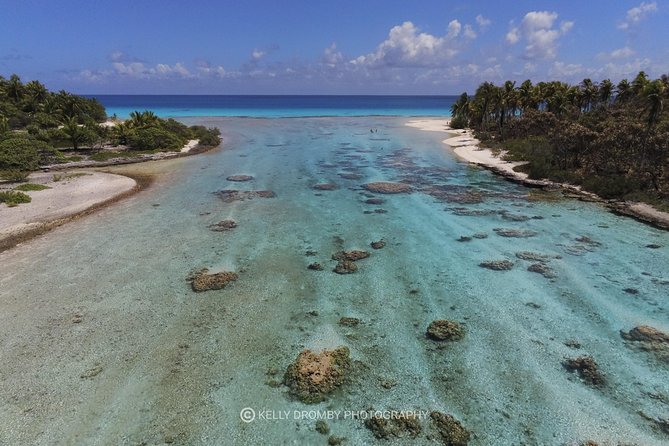 Reef island private tour