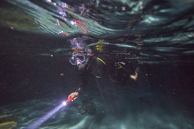 Night Snorkeling