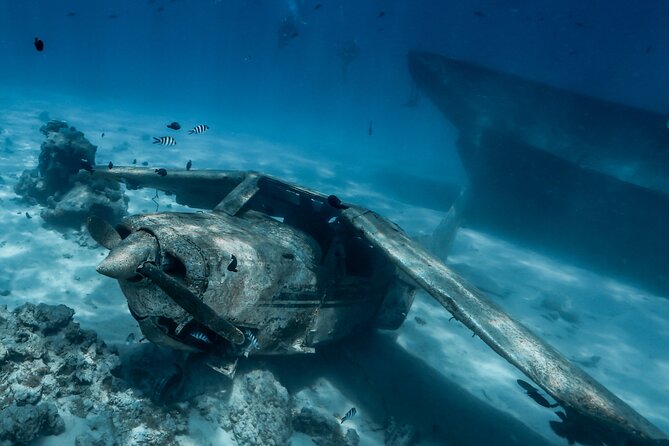 Private Mask and Snorkel Fins Tour