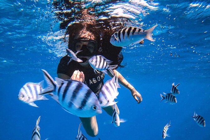 Snorkeling Tour Tahiti