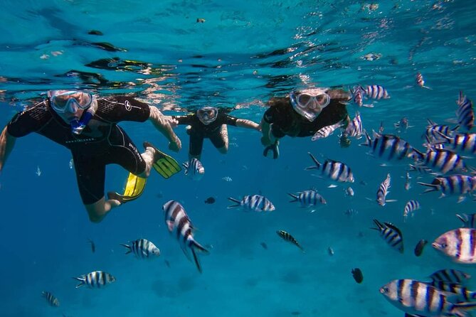 Discovery of the ocean and guided snorkeling in Tahiti