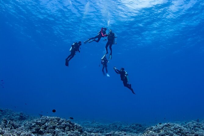 Private Combo Scuba Diving and Snorkeling with Motu Lunch