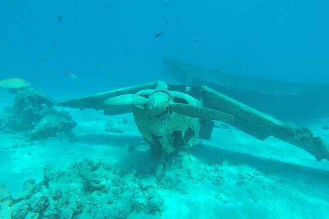 Small group snorkeling (5 people max): wrecks & tropical fishes at 3:30pm