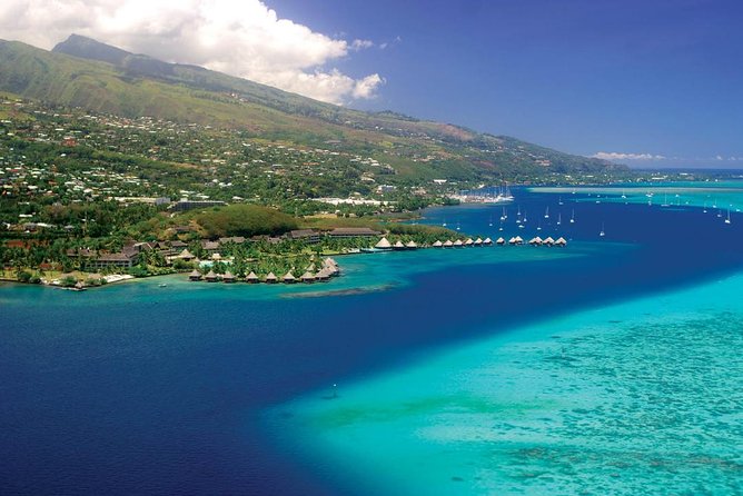 Small group snorkeling (5 people max): wrecks & tropical fishes at 10:30am