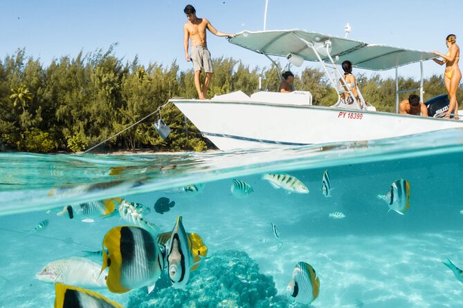 Lagoon Tour in Moorea in Small Group with Lunch