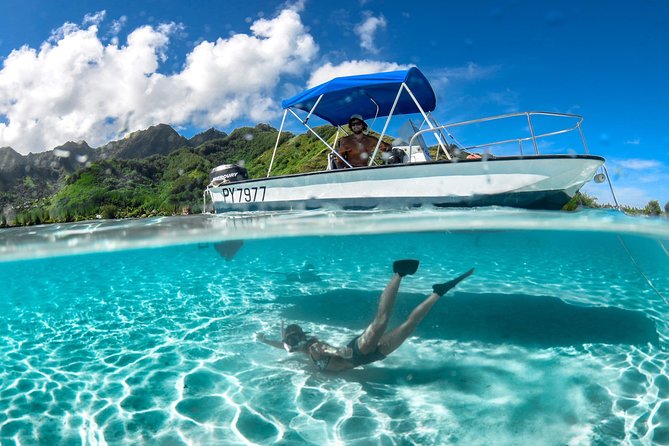 Private Boat Tour of Moorea Lagoon