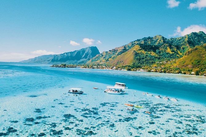 Half Day Snorkeling in Moorea