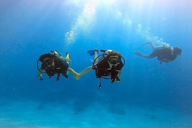 First dive in the beautiful and quiet Mara’a lagoon (Paea – Tahiti)