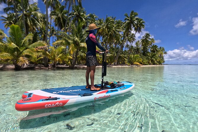 Tahaa Excursion in Electric Paddle Snorkeling Coral Garden